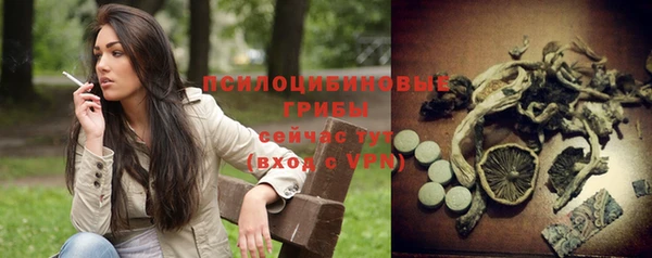 твердый Богородицк