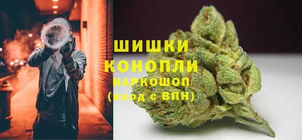 твердый Богородицк